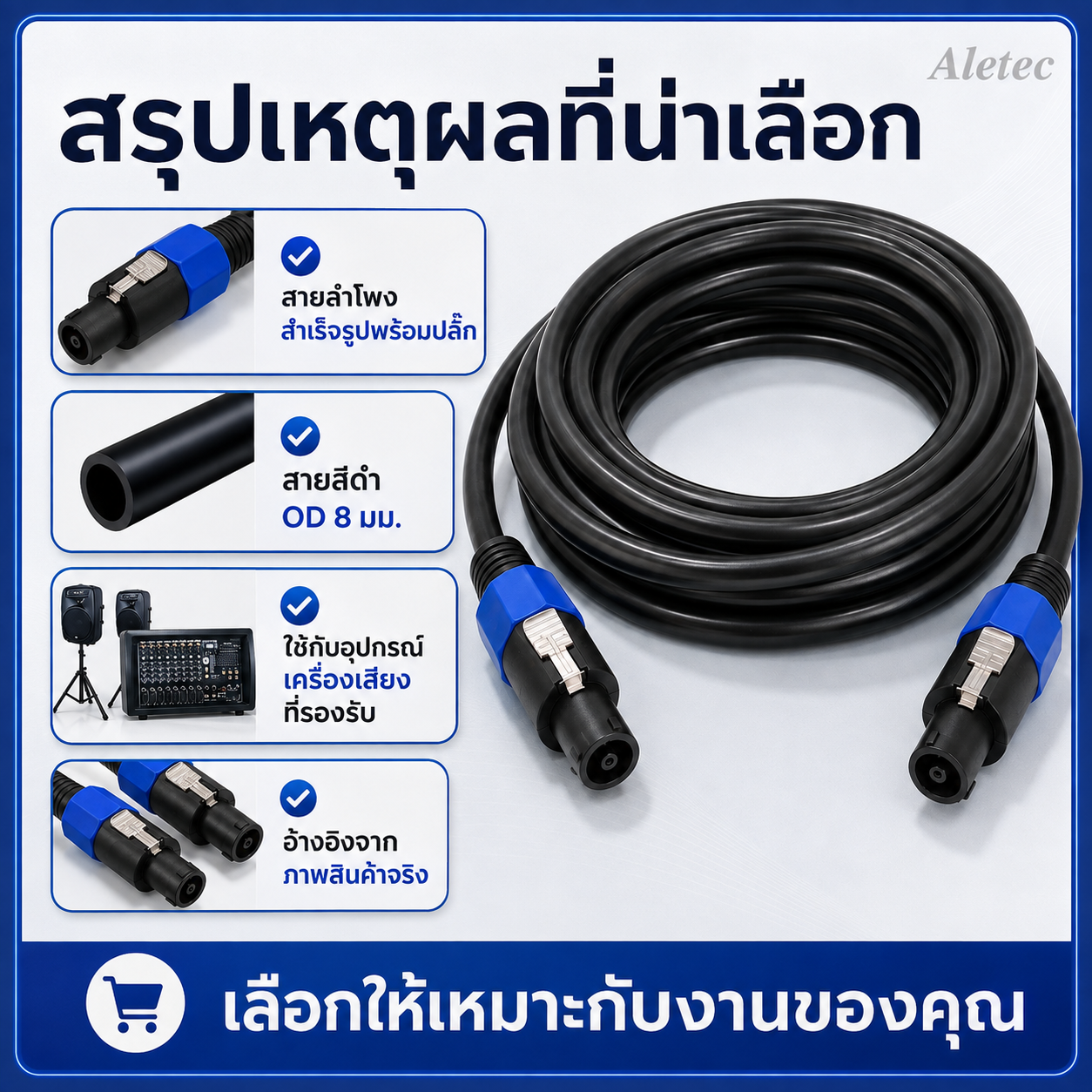 สายลำโพง / Speaker cables — 9